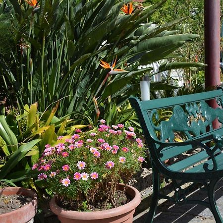 B&B Lodge Dell'Ospite Ischia Casamicciola Terme Exteriér fotografie