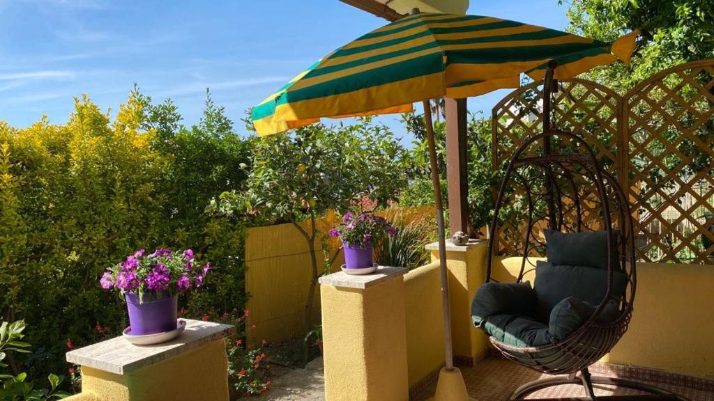 B&B Lodge Dell'Ospite Ischia Casamicciola Terme Exteriér fotografie