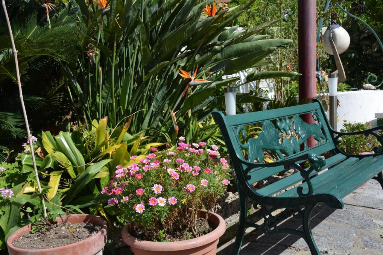 B&B Lodge Dell'Ospite Ischia Casamicciola Terme Exteriér fotografie