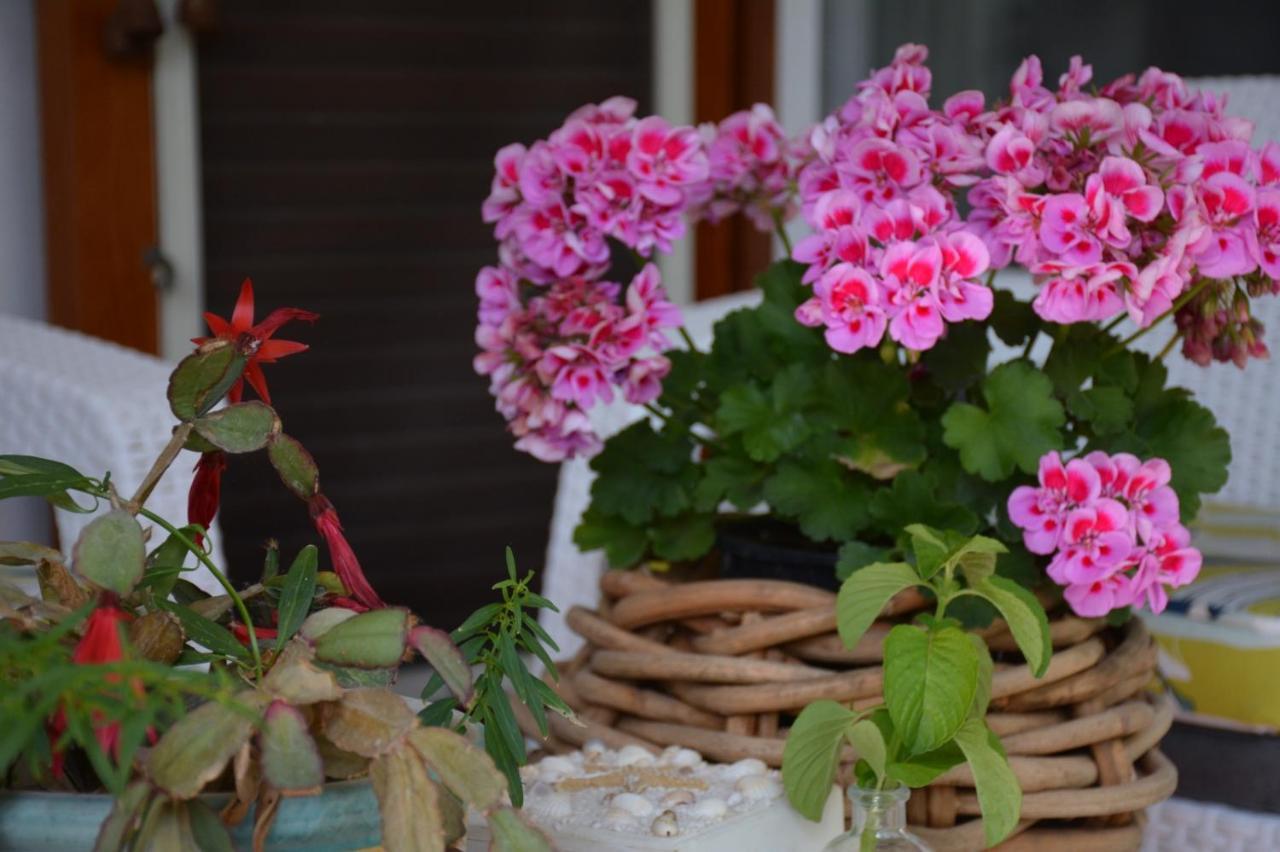 B&B Lodge Dell'Ospite Ischia Casamicciola Terme Exteriér fotografie
