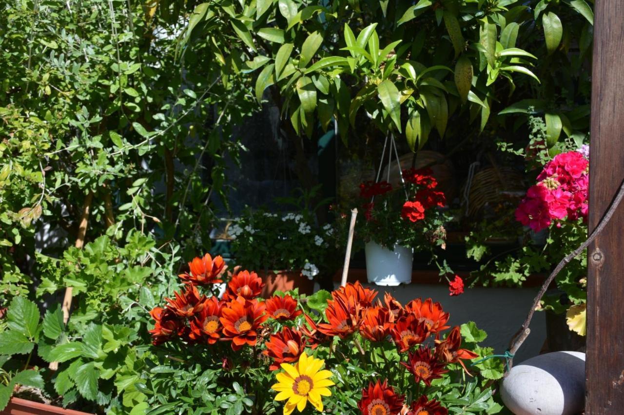 B&B Lodge Dell'Ospite Ischia Casamicciola Terme Exteriér fotografie
