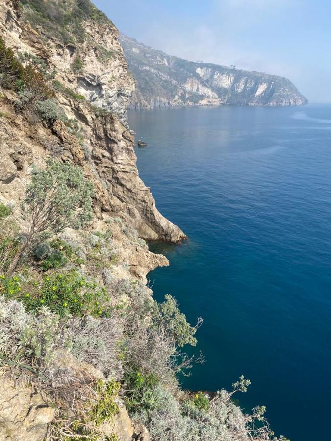 B&B Lodge Dell'Ospite Ischia Casamicciola Terme Exteriér fotografie