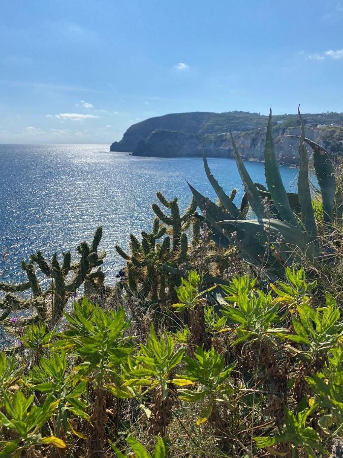 B&B Lodge Dell'Ospite Ischia Casamicciola Terme Exteriér fotografie