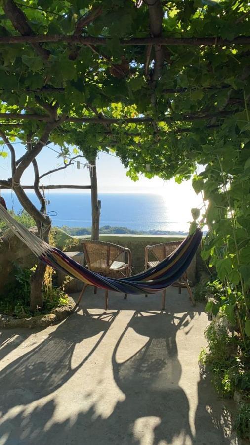 B&B Lodge Dell'Ospite Ischia Casamicciola Terme Exteriér fotografie