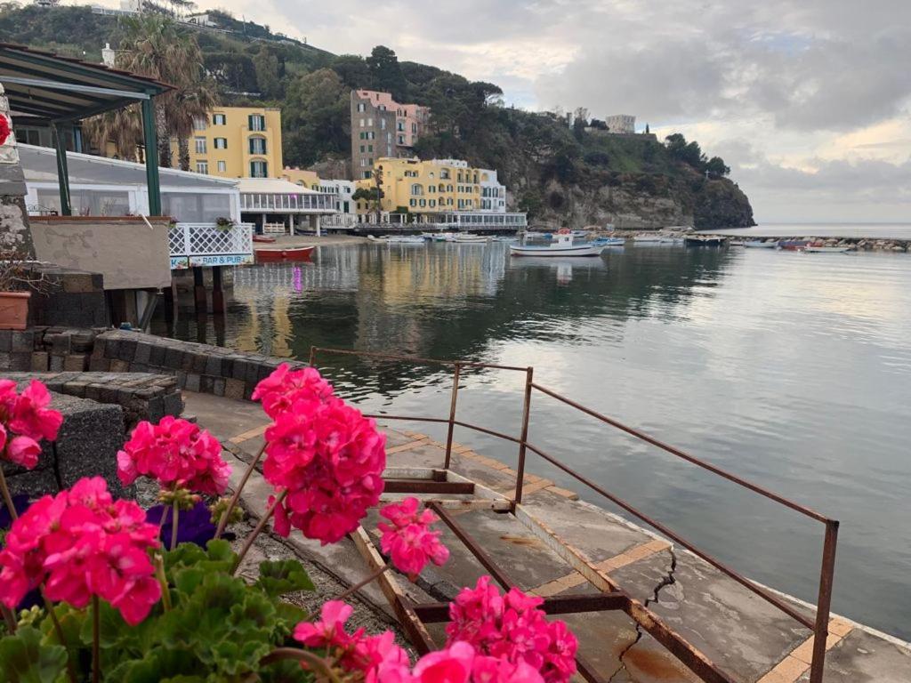 B&B Lodge Dell'Ospite Ischia Casamicciola Terme Exteriér fotografie