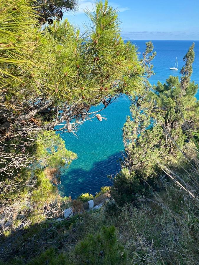 B&B Lodge Dell'Ospite Ischia Casamicciola Terme Exteriér fotografie