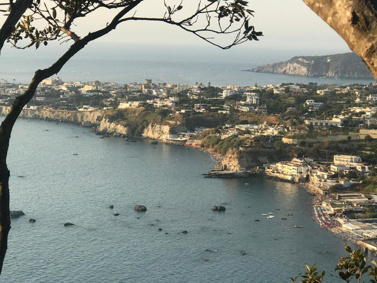 B&B Lodge Dell'Ospite Ischia Casamicciola Terme Exteriér fotografie