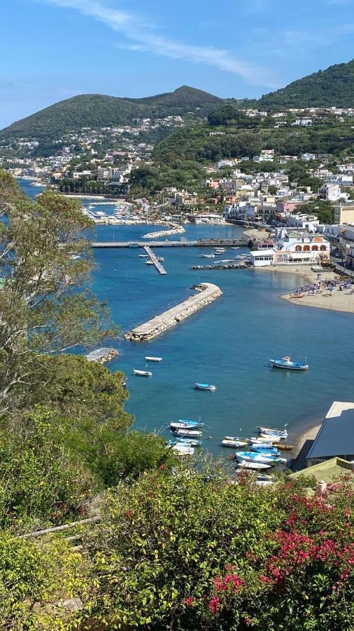 B&B Lodge Dell'Ospite Ischia Casamicciola Terme Exteriér fotografie