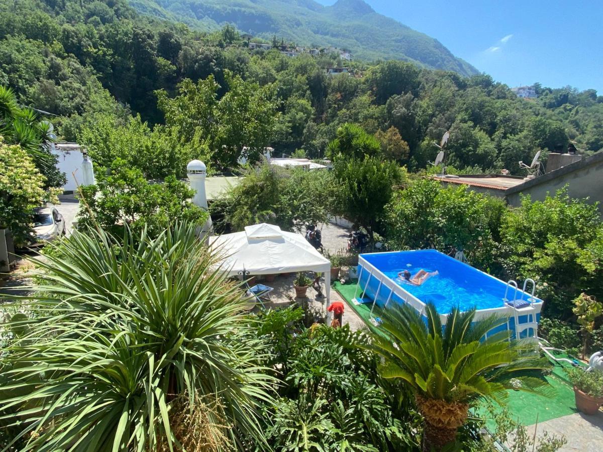 B&B Lodge Dell'Ospite Ischia Casamicciola Terme Exteriér fotografie