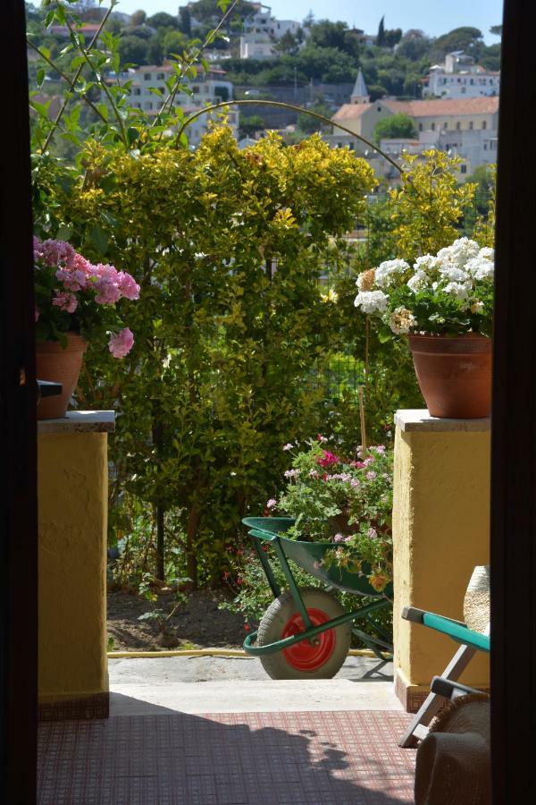 B&B Lodge Dell'Ospite Ischia Casamicciola Terme Exteriér fotografie